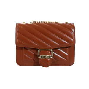 Brown quilted chain shoulder bag with gold hardware and square clasp on white background