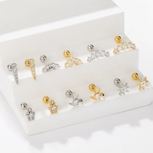 Star and hummingbird zircon stud earring set in gold and silver stainless steel