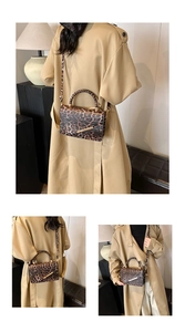 Detail of leopard print crossbody bag with gold hardware and stylish metal accents