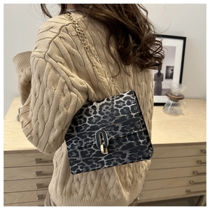Close-up of leopard print crossbody bag with gold chain strap and metal clasp detail