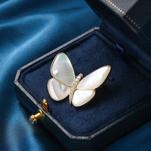Elegant butterfly brooch with natural shell wings and cubic zirconia in a jewelry box