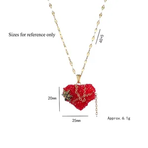 Collier en acier titane avec pendentif cœur rouge, cristaux et détail d'étoile dorée