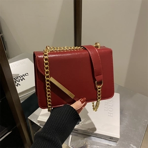 Deep red chain crossbody bag with gold metallic stripe and elegant leather flap design