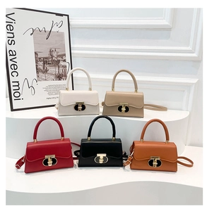 Detailed display of five small square crossbody bags in various colors on a white stage