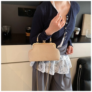 Detail view of retro woven crossbody bag with gold metal frame and elegant chain strap
