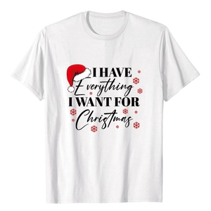 Detail of Christmas t-shirt with I Have Everything print and festive red Santa hat