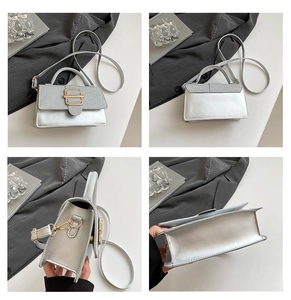 Silberne Pailletten-Handtasche mit Goldschließe, Ansicht der trendigen quadratischen Tasche