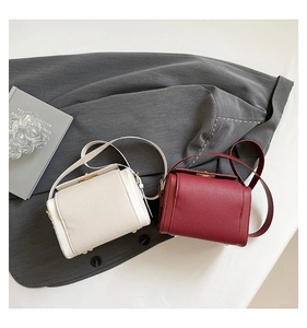 Detail of lychee pattern leather and gold metal buckle on beige and burgundy box bags