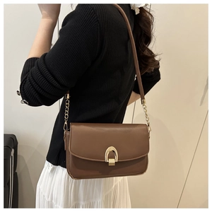 Close-up of brown leather crossbody bag featuring gold horseshoe buckle and chain strap