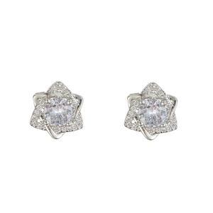 Sparkling star-shaped zircon stud earrings in silver-tone stainless steel finish
