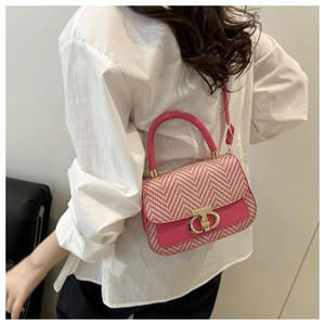 Détail du sac à main en pied-de-poule rose et blanc avec boucles dorées sur modèle