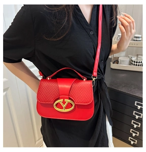 Detail of red saddle bag with gold V-buckle and woven texture on model back