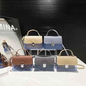 Sacs à main en gelée en cinq couleurs avec un design transparent en PVC moderne
