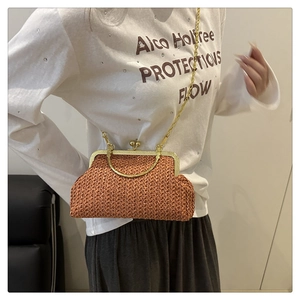 Détail du sac tissé vintage avec cadre en métal doré et bandoulière en chaîne dorée