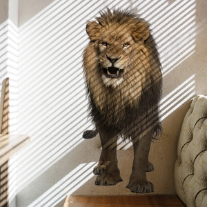 Detailed realistic roaring lion wall sticker with 3D effect in a living room interior