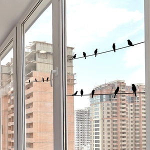 Detail of black bird silhouettes window stickers on glass with urban view background