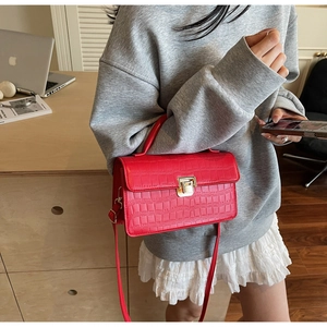 Macro shot of red crocodile texture faux leather bag with gold buckle on a gray sweater