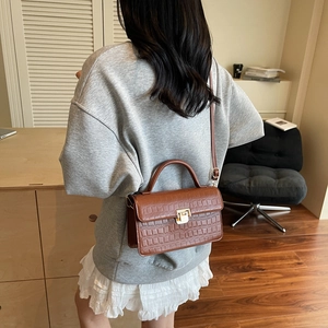 Classic brown crocodile texture small square bag with gold buckle for women