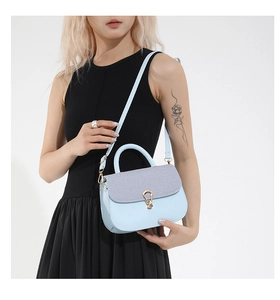 Close-up of light blue saddle bag with metal clasp and elegant top handle on model