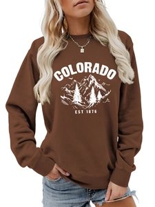 Detail of the vintage mountain print on this brown Colorado 1876 sweatshirt