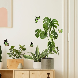 Realistic 3D green butterfly wall stickers set on white wall in a modern living room