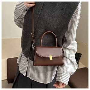 Close-up of a dark brown mini crossbody bag with a gold metal buckle on a striped shirt