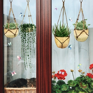 Detail of double-sided hanging plant pot and butterfly static window stickers on glass