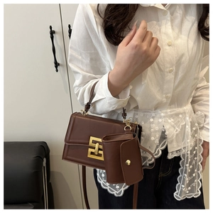 Detail of dark brown chain crossbody bag featuring golden hardware and a mini coin purse