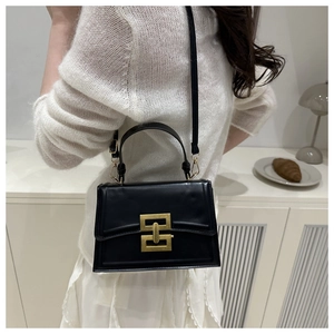 Classic black square crossbody bag with gold buckle and top handle shown on model