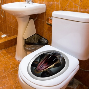Dettaglio dell'adesivo 3D realistico con serpente nero applicato sul sedile del water