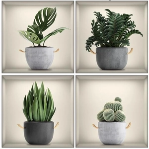 3D wall stickers featuring 4 assorted green potted plants in gray industrial cement pots