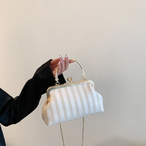 Mini vintage woven shell bag with gold metal frame and striped pattern on chain strap