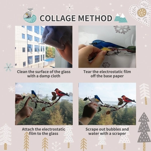 Step-by-step guide for applying bird static glass window film without using any adhesive