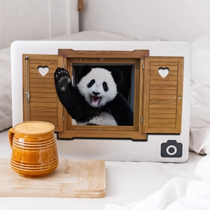 Creative 3D giant panda wall sticker peeking from a shutter window for home decor
