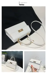 Detailed close-up of white crocodile texture surface and golden rotating metal lock