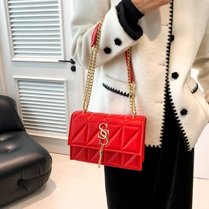 Red quilted leather crossbody bag with gold chain strap and metallic fringe tassel detail