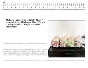 Detailed size chart for woven crossbody bag showing dimensions 22x28x15cm and 0.25kg weight