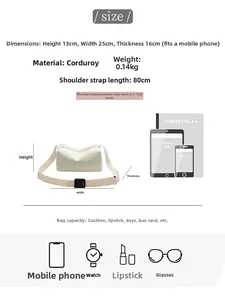 Size guide for corduroy pillow bag showing dimensions and capacity with reference items