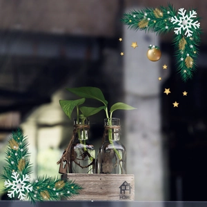 Hydroponic glass vases in wooden HOME box with decorative rope and key charms
