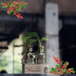 Detail of creative hydroponic glass vases with twine decoration on a wooden HOME base