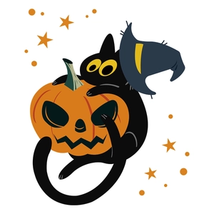 Detail of Halloween wall decal featuring a black cat with wizard hat hugging a pumpkin