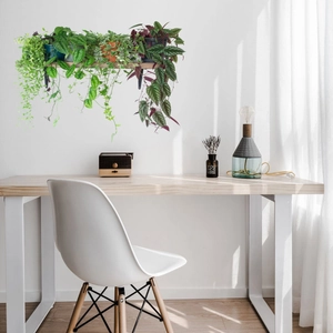 Detail of wooden wall shelves with hanging green plants for modern office decor