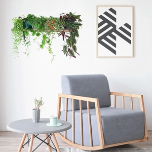 Modern wood rocking chair with grey fabric cushions and green wall plants decoration