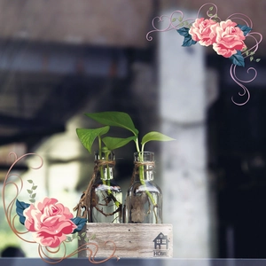 Detail of creative hydroponic glass bottles with rope in a rustic wooden HOME tray