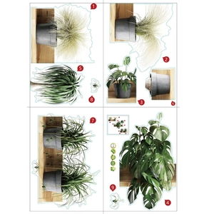 Adesivi murali rimovibili in PVC con piante verdi realistiche e foglie di monstera