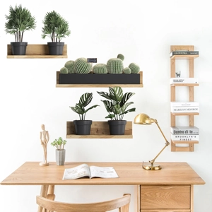 Minimalist wooden floating shelves set with a ladder rack for plants in a modern home office