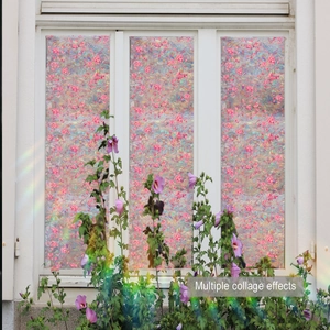 Detail of floral window film showing rainbow prism effect and privacy frosted texture