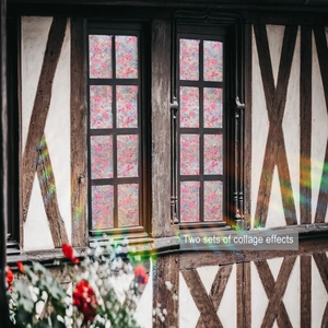 Detail showing pink floral static window film with colorful sunlight refraction effects