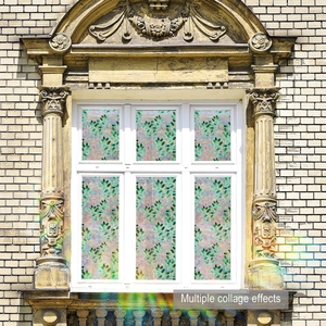 Detail of green leaf privacy window film with rainbow prism effect on a multi-pane window