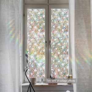 Detail of floral window film showing rainbow refraction effect and daisy pattern